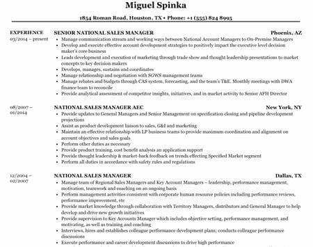 National sales manager resume example